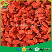 Baies de goji séchées